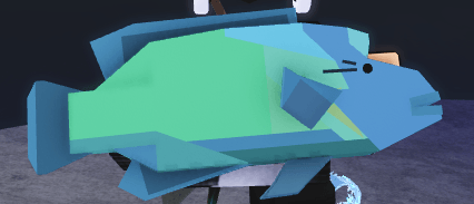 Normal Napoleonfish